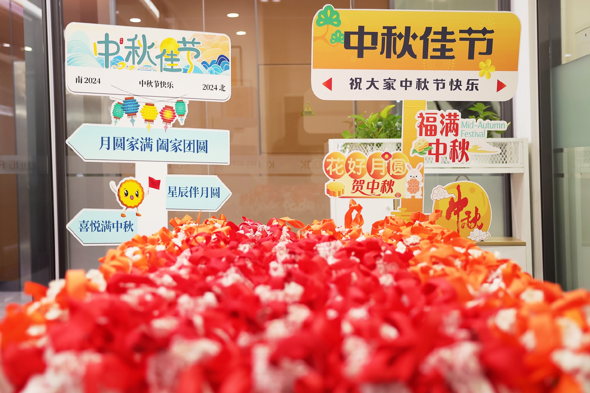 1726826625209418.jpg 147A1117 副本.jpg