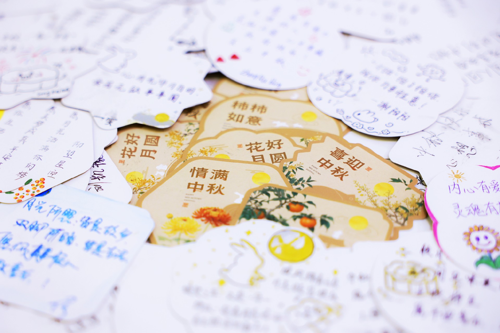 1726826636689933.jpg 147A1111 副本.jpg